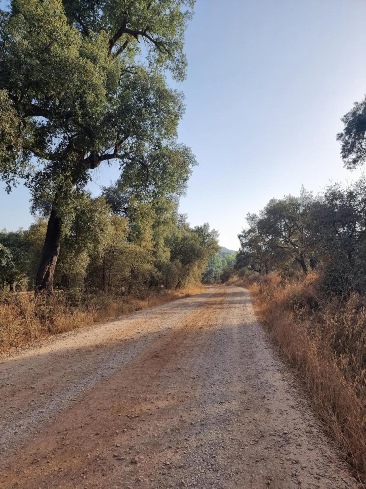 Corteganillas Cortegana Εξωτερικό φωτογραφία